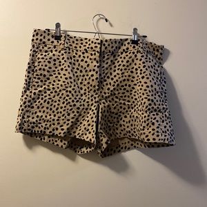 Jcrew chino shorts